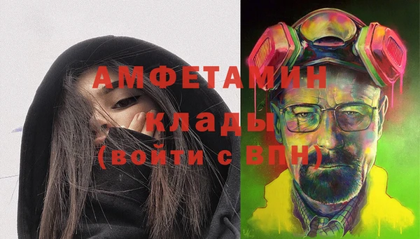 индика Переславль-Залесский