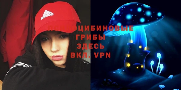 первитин Медвежьегорск