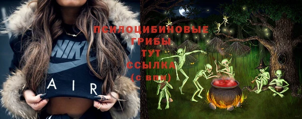 первитин Медвежьегорск