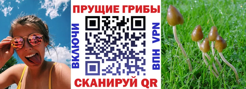 Псилоцибиновые грибы ЛСД  Самара 
